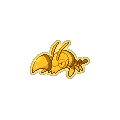 Golden Clauncher